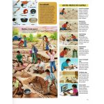 Napraforgó Az emberiség története - A kezdetek