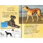 Napraforgó Olvass velünk! (2) - Barátunk, a kutya