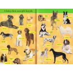 Napraforgó Olvass velünk! (2) - Barátunk, a kutya