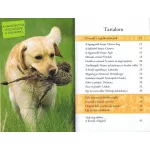 Napraforgó Olvass velünk! (2) - Barátunk, a kutya