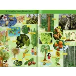 Napraforgó Olvass velünk! (2) - A növények titkai