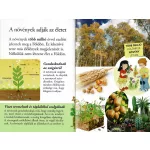 Napraforgó Olvass velünk! (2) - A növények titkai