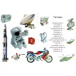 Napraforgó 101 dolog, amiről jó, ha tudod, hogyan működik