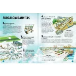 Napraforgó 101 dolog, amiről jó, ha tudod, hogyan működik