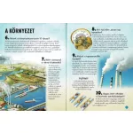 Napraforgó 101 dolog, amiről jó, ha tudod, hogyan működik