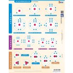 Fixi Tanulói munkalap A/4 Duo Kétoldalas Atommodellek