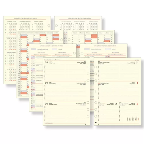 Saturnus Tanári Betétlap Csomag L 2026-2027 Chamois