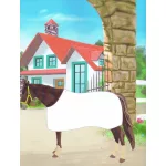 Napraforgó Könyvek Könyv 1000 Ló Matricája 2. Holdfény