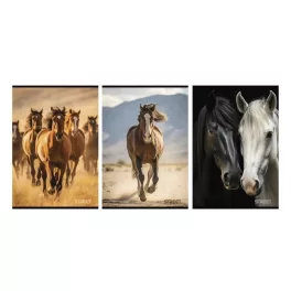   Street Füzet Tűzött A/4 Négyzetrácsos 27-54 Horses Vegyes Mintákban