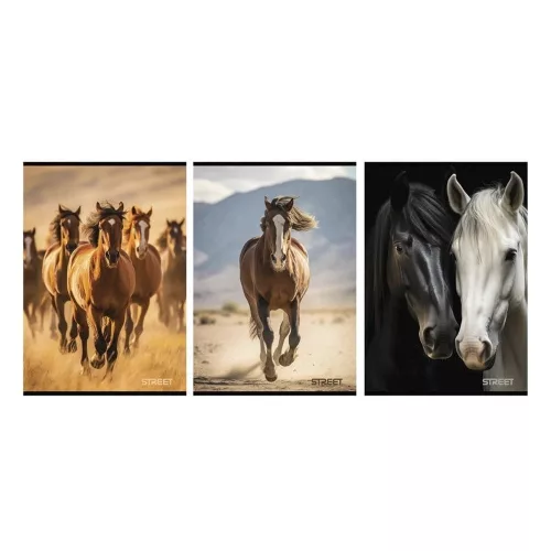 Street Füzet Tűzött A/4 Négyzetrácsos 27-54 Horses Vegyes Mintákban