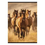 Street Füzet Tűzött A/4 Négyzetrácsos 27-54 Horses Vegyes Mintákban