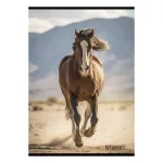 Street Füzet Tűzött A/4 Négyzetrácsos 27-54 Horses Vegyes Mintákban