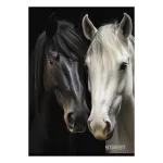 Street Füzet Tűzött A/4 Négyzetrácsos 27-54 Horses Vegyes Mintákban